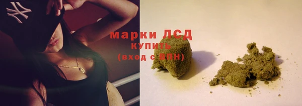 мдпв Кодинск