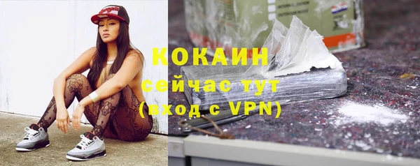 мдпв Кодинск