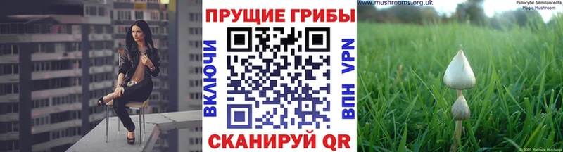 Псилоцибиновые грибы GOLDEN TEACHER  Купить где  Анива 